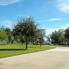 Driveway: Lakefront Exterior in Livingston, Tex.