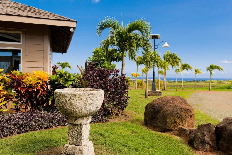 Tropical Garden of Hawaiian Home