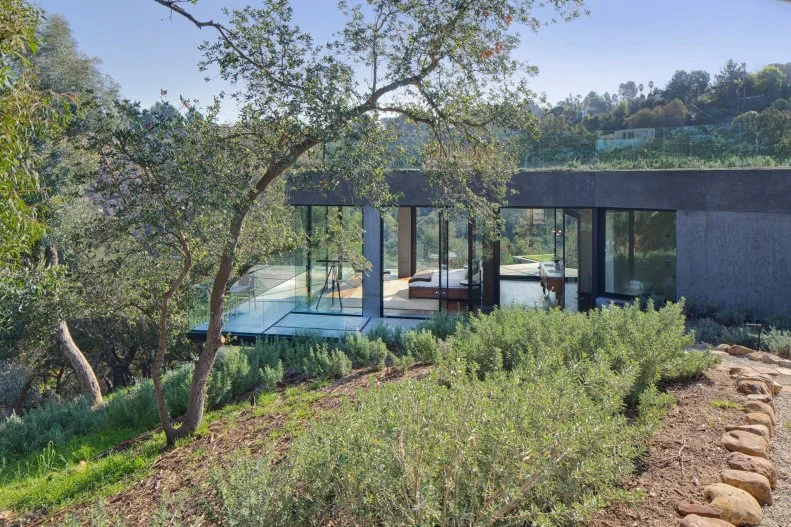 Modern Home With Large Windows 