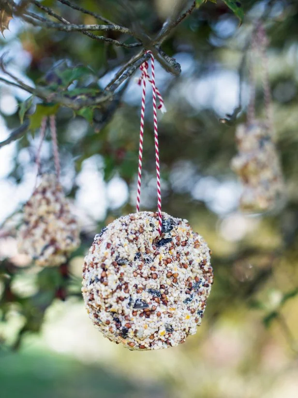 Kids Craft-Birdseed Ornament