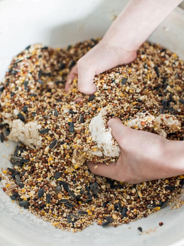 Mix first four ingredients with a spoon or whisk in a large bowl. The batter will be stiff. Add birdseed and and knead into batter. Tip: This is the ooey-gooey part of the project that kids love getting their hands in!