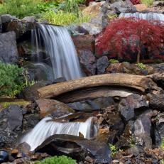 waterfall in colorful woodland area
