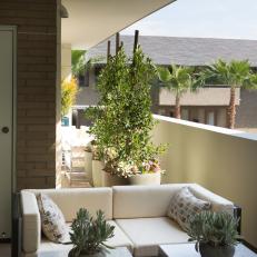 White Contemporary Patio With Plants