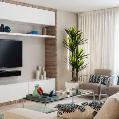 Corner of Neutral Contemporary Living Room With Plant