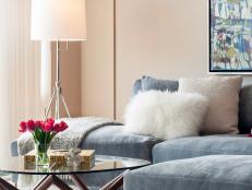 Contemporary Living Room Features Gray Velvet Sofa