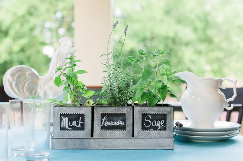 Potted Herbs in Silver Pots