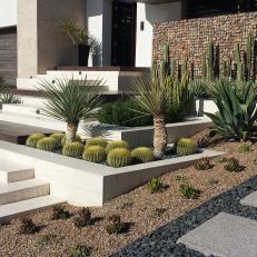 Gabion Wall and Drought Friendly Plants in Southwester Landscape Design