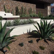 Desert Plants and Gravel in Water Conscious Yard