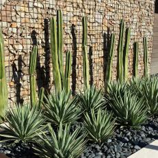 Gabion Wall and Drought Resistant Plants with Elegant Gray Stones in Southwestern Style Landscape