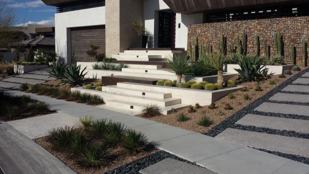 Modern Southwest Yard Gabion Wall and Drought Resistant Plant