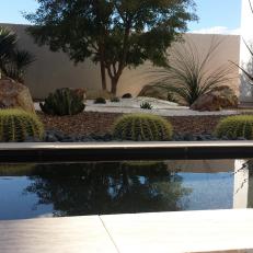 Gazing Pool and Drought Resistant Plants in Water Conscious Backyard