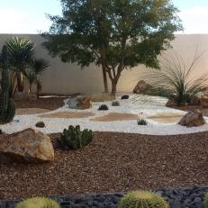 Drought Resistant Trees and Plants in Water Conscious Backyard