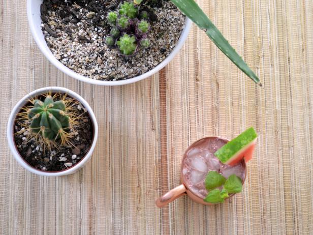 Watermelon Cocktail With Succulents