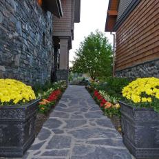 Bright Flowers Add Color to Gray Stone Path