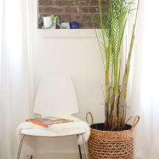 Potted Palm Breathes Life Into Urban Loft