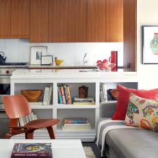 Multicolored Midcentury Modern Living Room and Kitchen