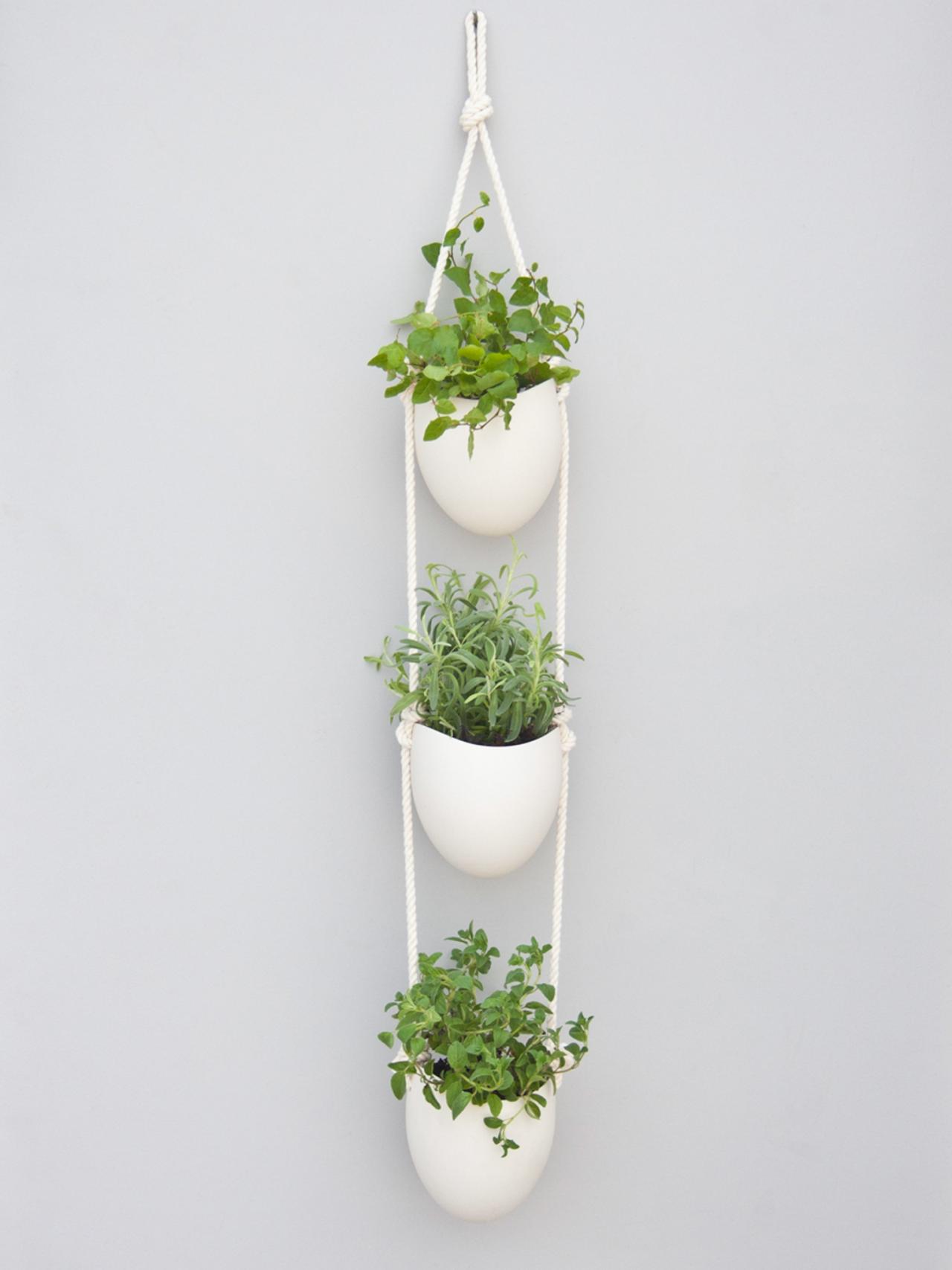 5 Indoor Herb Garden Ideas Hgtv S Decorating Design Blog Hgtv