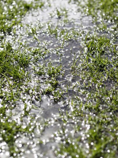 Standing water deals in yard