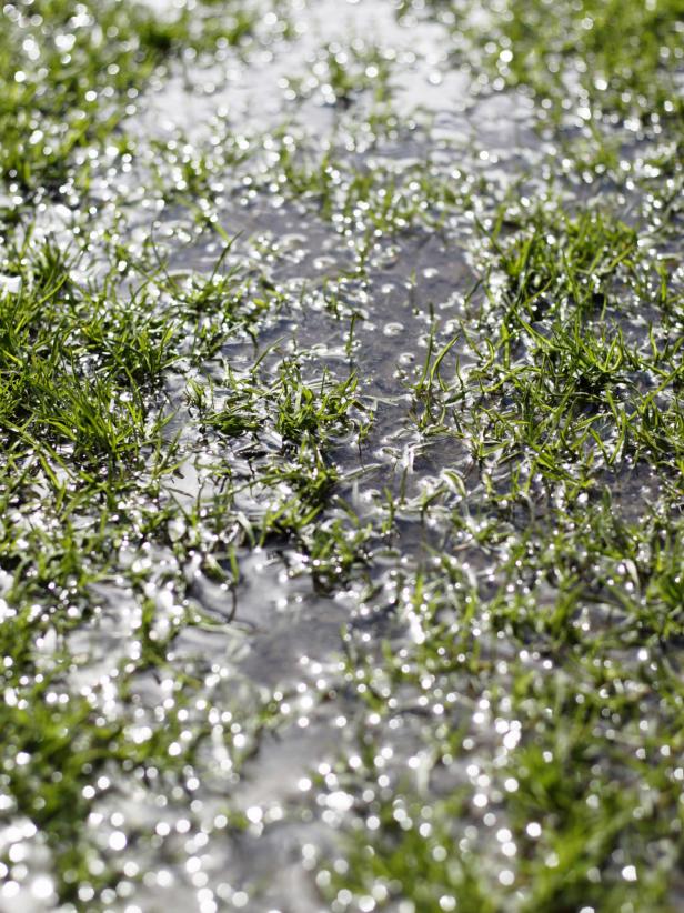 Standing Water in Yard