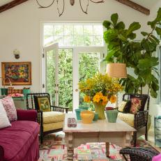 Plants in Colorful Living Room Add Natural Beauty 