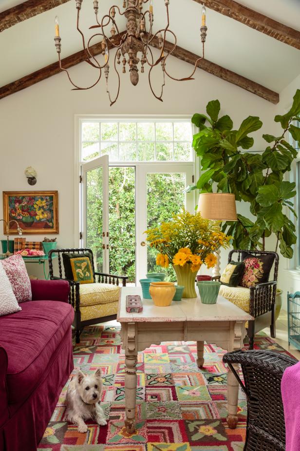 Natural Beauty from Plants Add to Colorful Living Room 