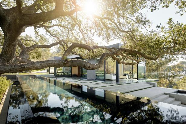 Infinity Pool Runs Under Oak Tree In Modern Backyard Hgtv