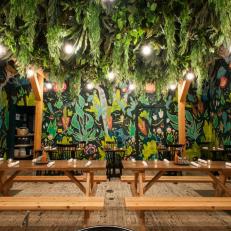 Mexican Restaurant Indoor Patio with Painted Garden Walls and Hanging Ferns