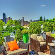 Roof Deck With Seattle Skyline View