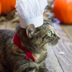 French Chef Costume for Pets