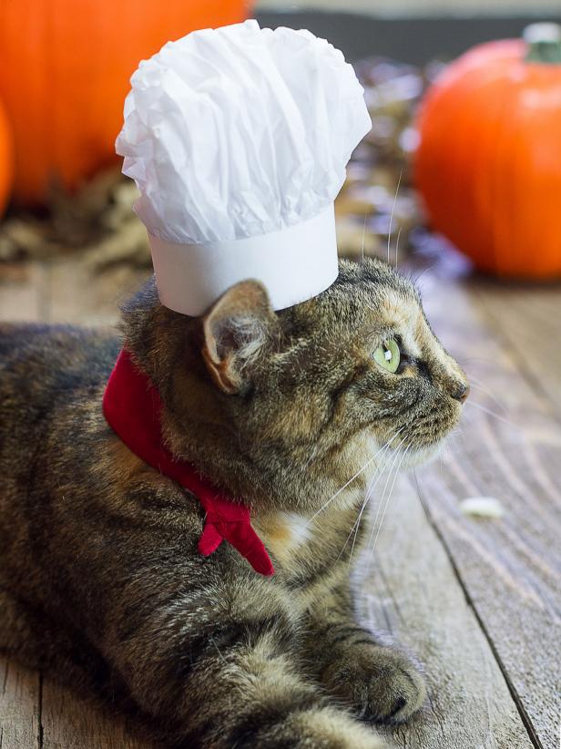 Halloween Pet Costume: French Chef