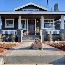 Gray and White Craftsman Exterior and Dog