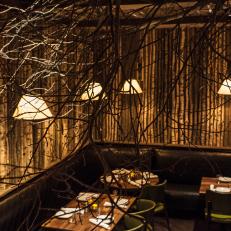 Asian Restaurant Features Tree-Inspired Dining Room