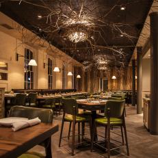 Nature-Inspired Restaurant With Nested Light Fixtures