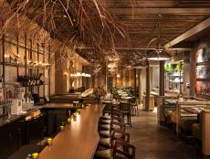 Hip, Organically Inspired Restaurant With Warm Ambiance