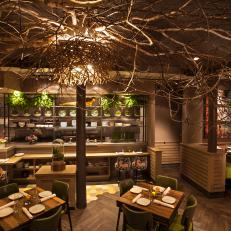 Glowing Tree Canopies Illuminate Asian Restaurant