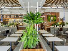 Contemporary White Restaurant Dining Space With Potted Plants