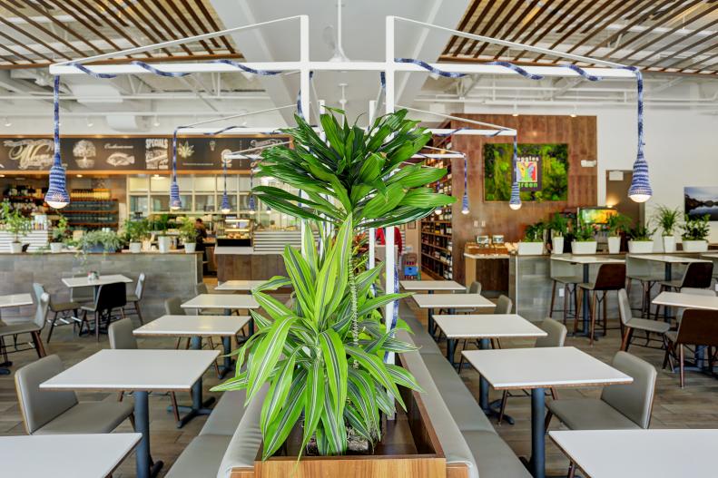 Contemporary White Restaurant Dining Space With Potted Plants