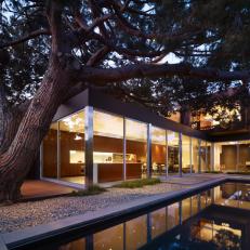 Modern Backyard Features Mature Pine Tree
