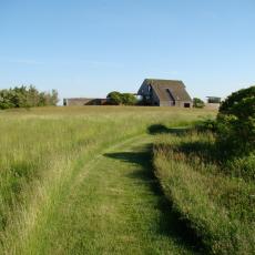 Grassy Landscape: Daniels Lane Residence 