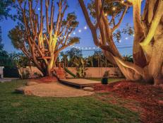 Enchanting Backyard Featuring Sting Lights, Wood Stage and Stairs Leading To an In-Tree Patio 
