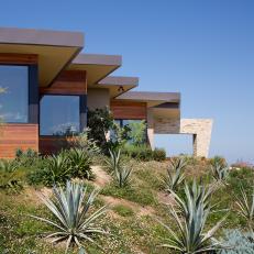 Contemporary Home Exterior With Beautiful Landscaping