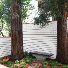 Two Large Trees Surrounded by Plants, Low Stone Bench and Horizontal Fencing