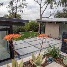 Modern Outbuildings and Patio