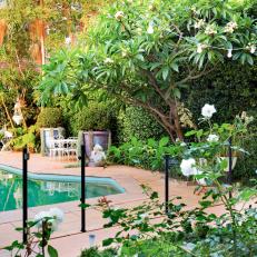Backyard Pool Surrounded by Trees, Plants and Hedges