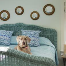 Blue Wicker Bed with Dog