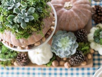 Succulent Pumpkin Centerpiece