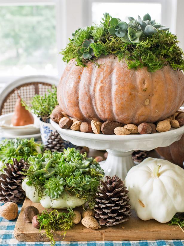 With succulents trending in home decor and gardening, it's the perfect time to incorporate them in your holiday tablescape. Live succulents are clipped and used to top off seasonal pumpkins and squash to make a dramatic centerpiece.