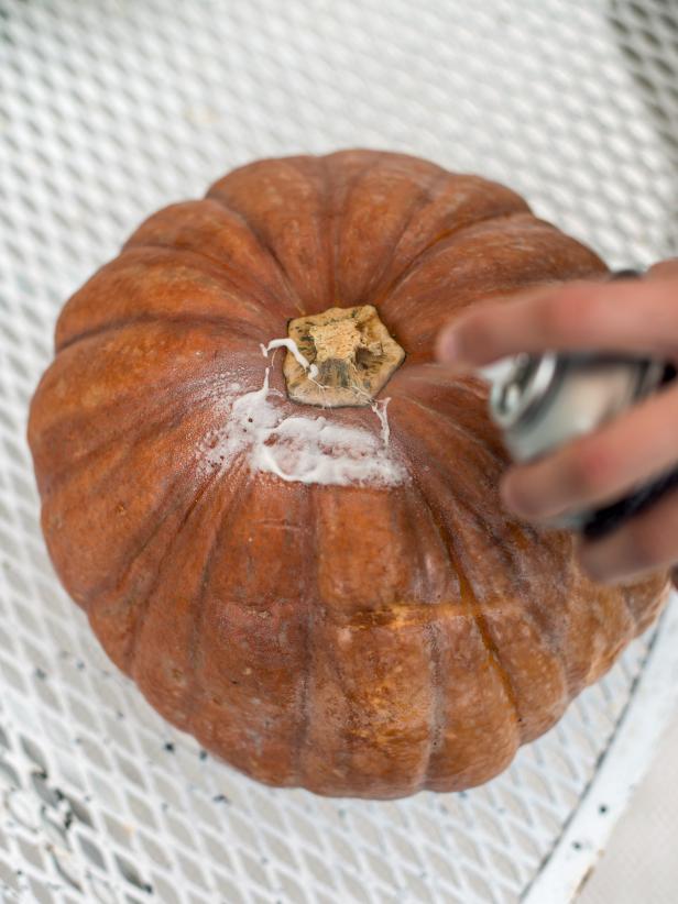 Spray the top of the pumpkin with spray adhesive. Gently pull moss apart into clumps and immediately stick to the pumpkin where glue was applied.