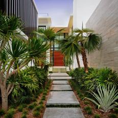 Concrete Pathway Leads to Tropical Modern Home