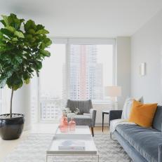 Contemporary Living Room Features Fiddle Leaf Fig Tree